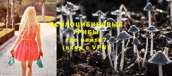 сатива Абдулино